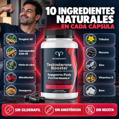 Testosterone Booster